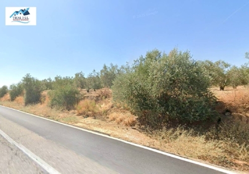 Santa Cruz De Marchena Alpujarra Almeriense tomt foto 6373200