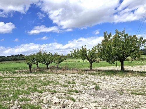 Santa Margalida Nord terreno foto 6370926