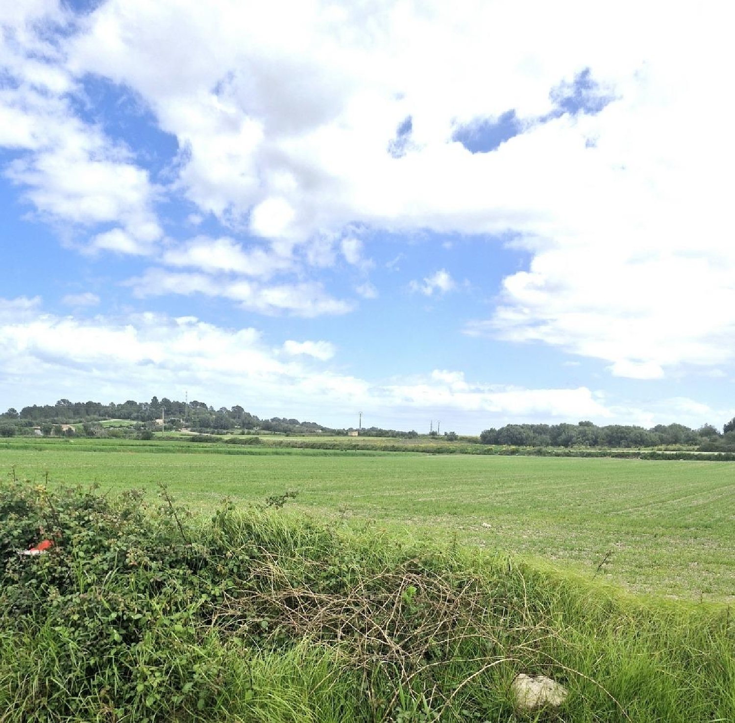  en venta terreno Santa Margalida Nord 3