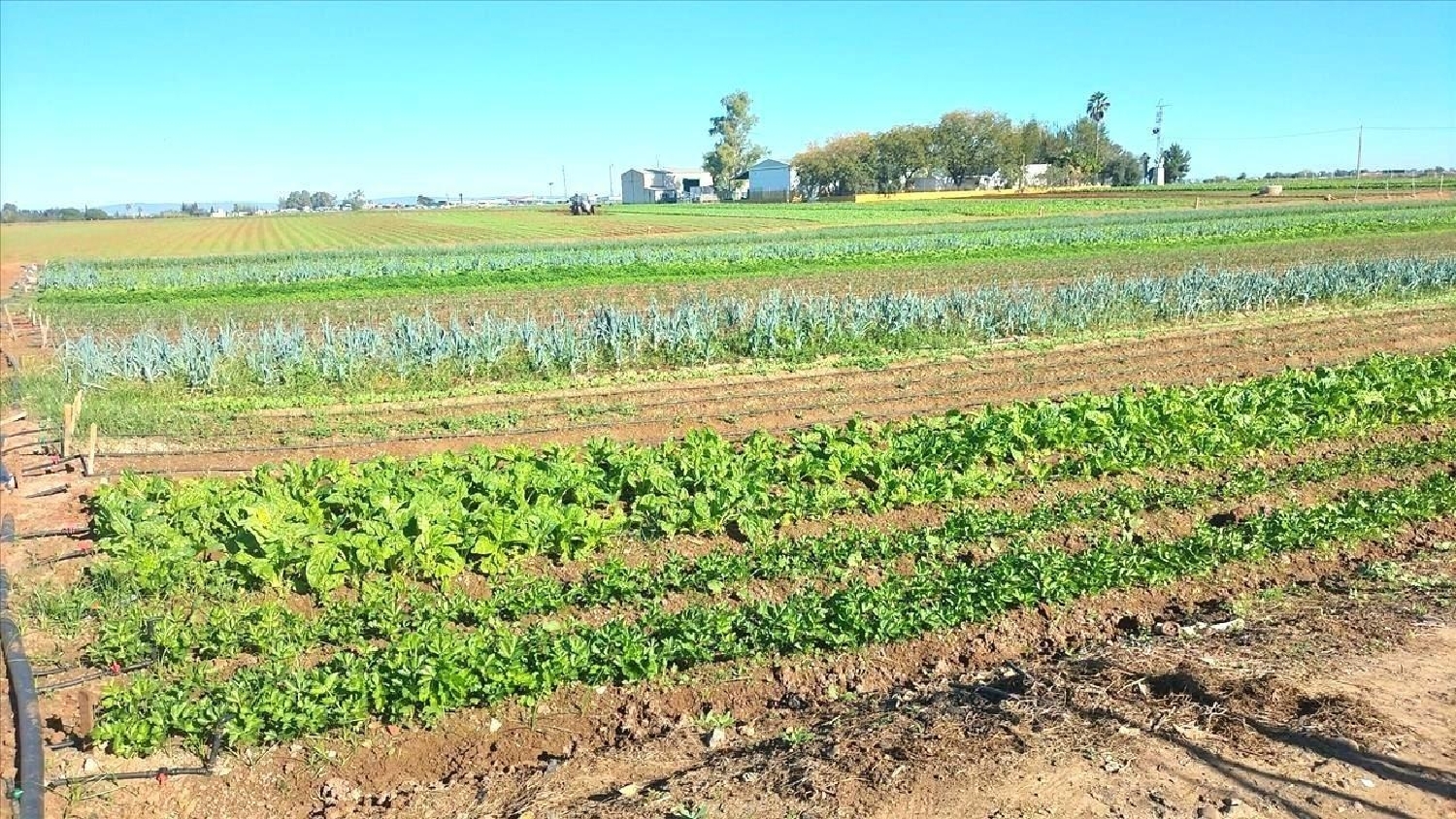  till salu tomt Sevilla La Nueva Sur 4