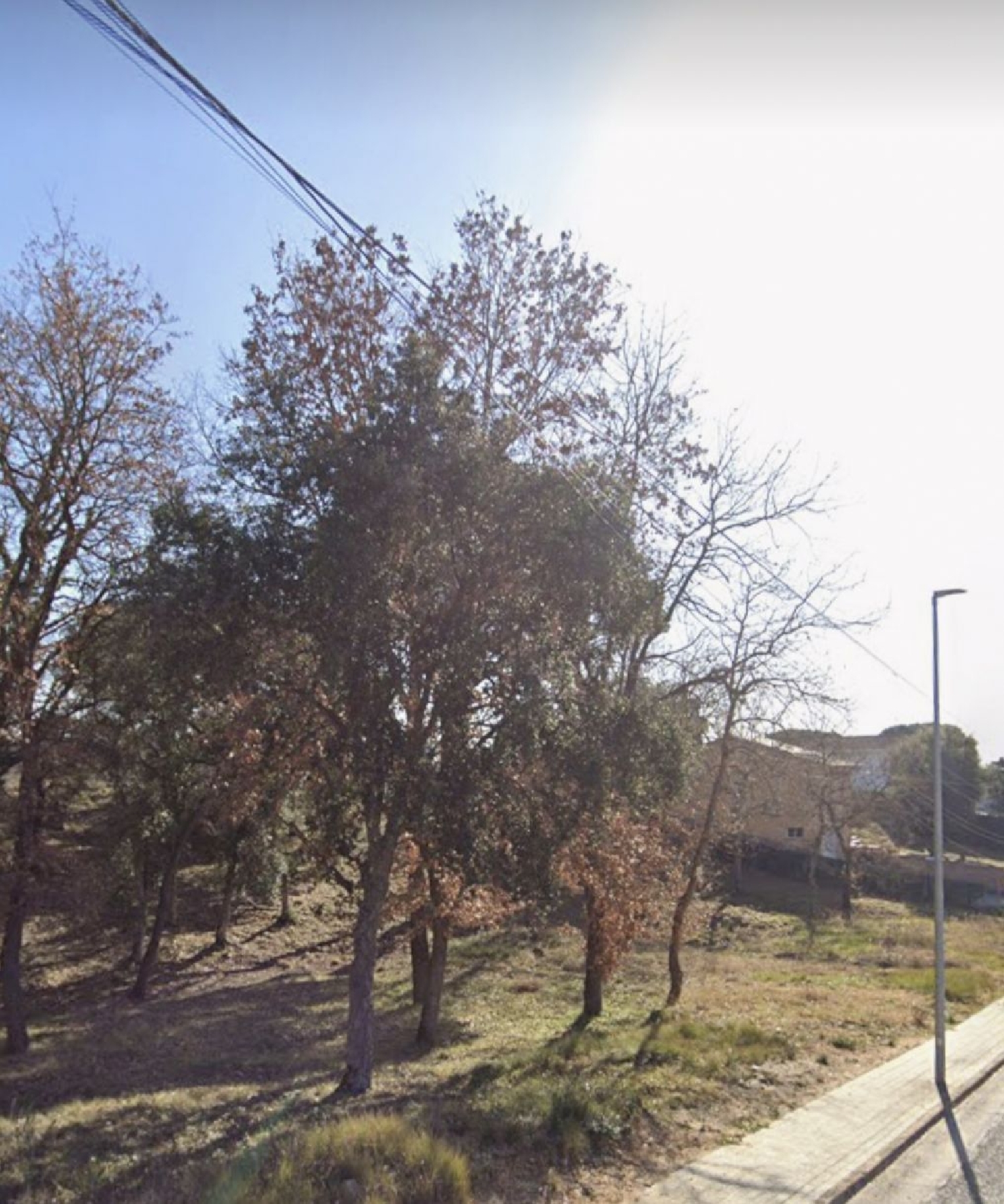  kaufen Grundstück Sils Selva 3