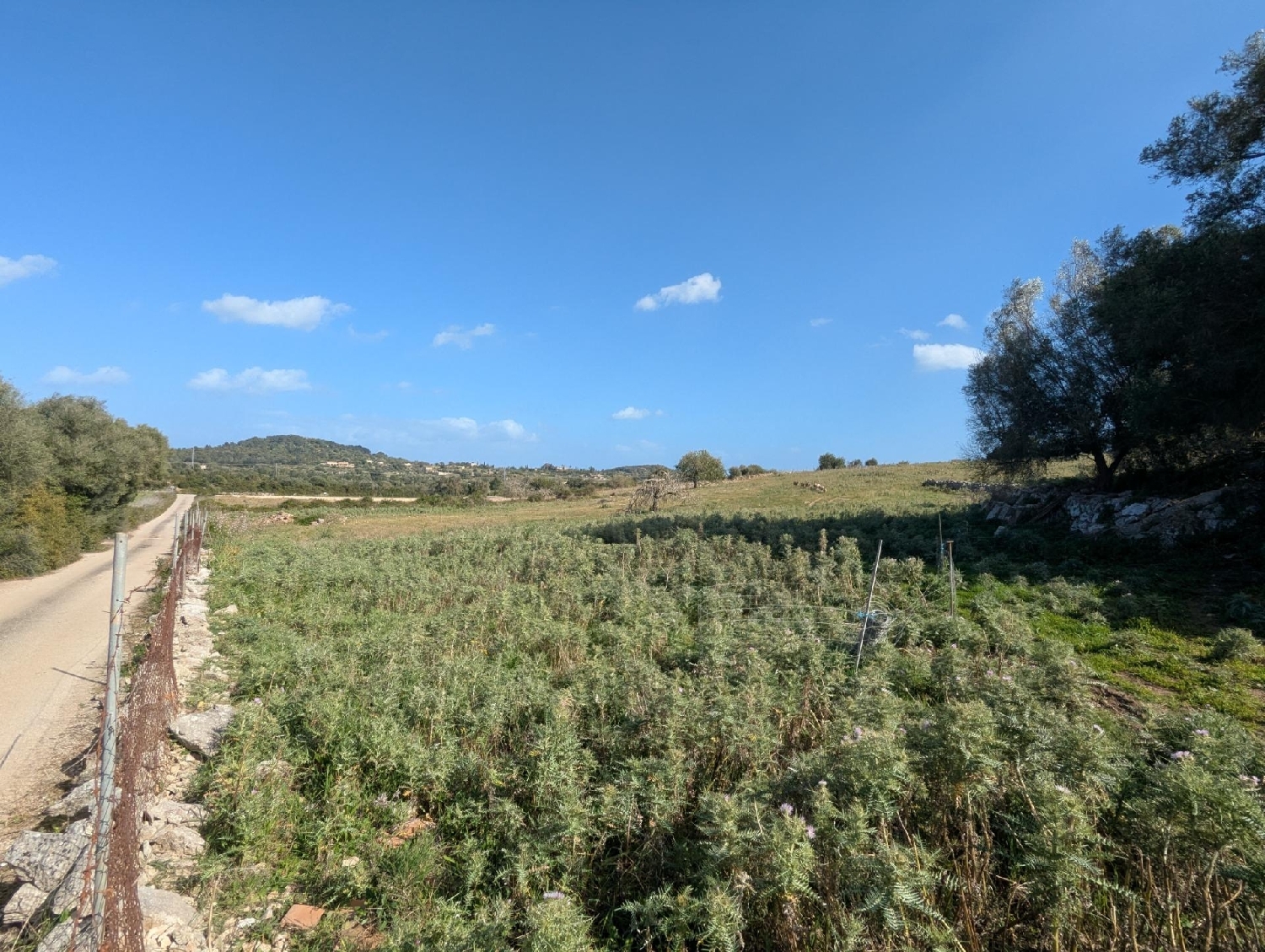  en venta terreno Son Servera Llevant 2