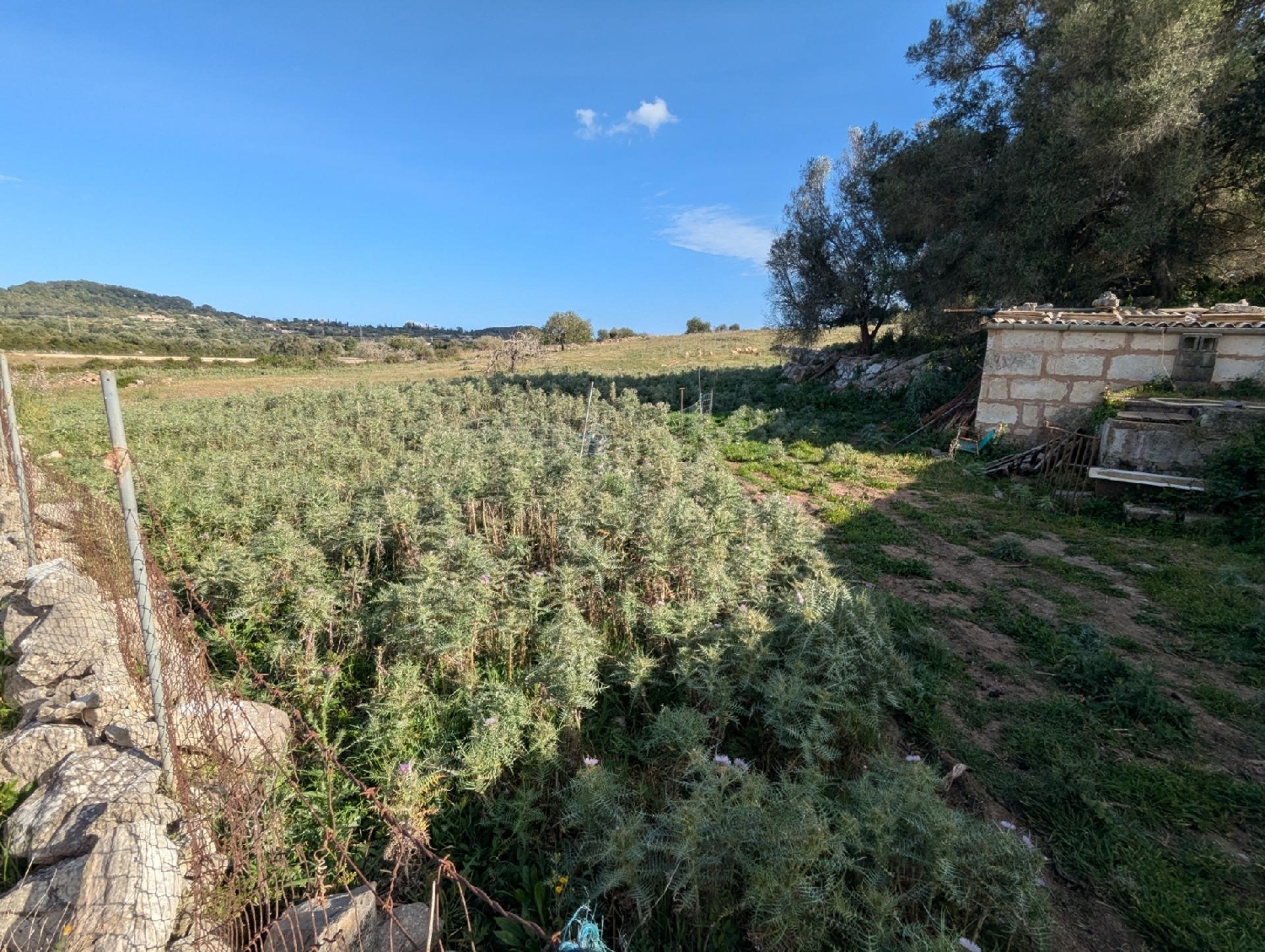  en venta terreno Son Servera Llevant 3