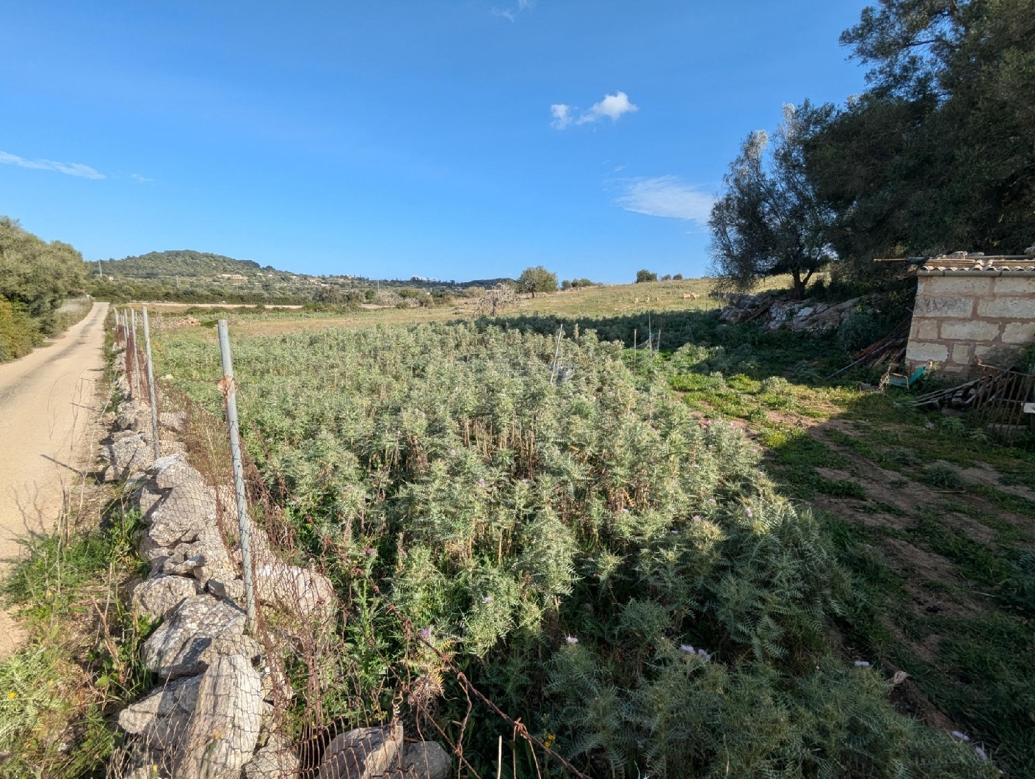  en venta terreno Son Servera Llevant 8