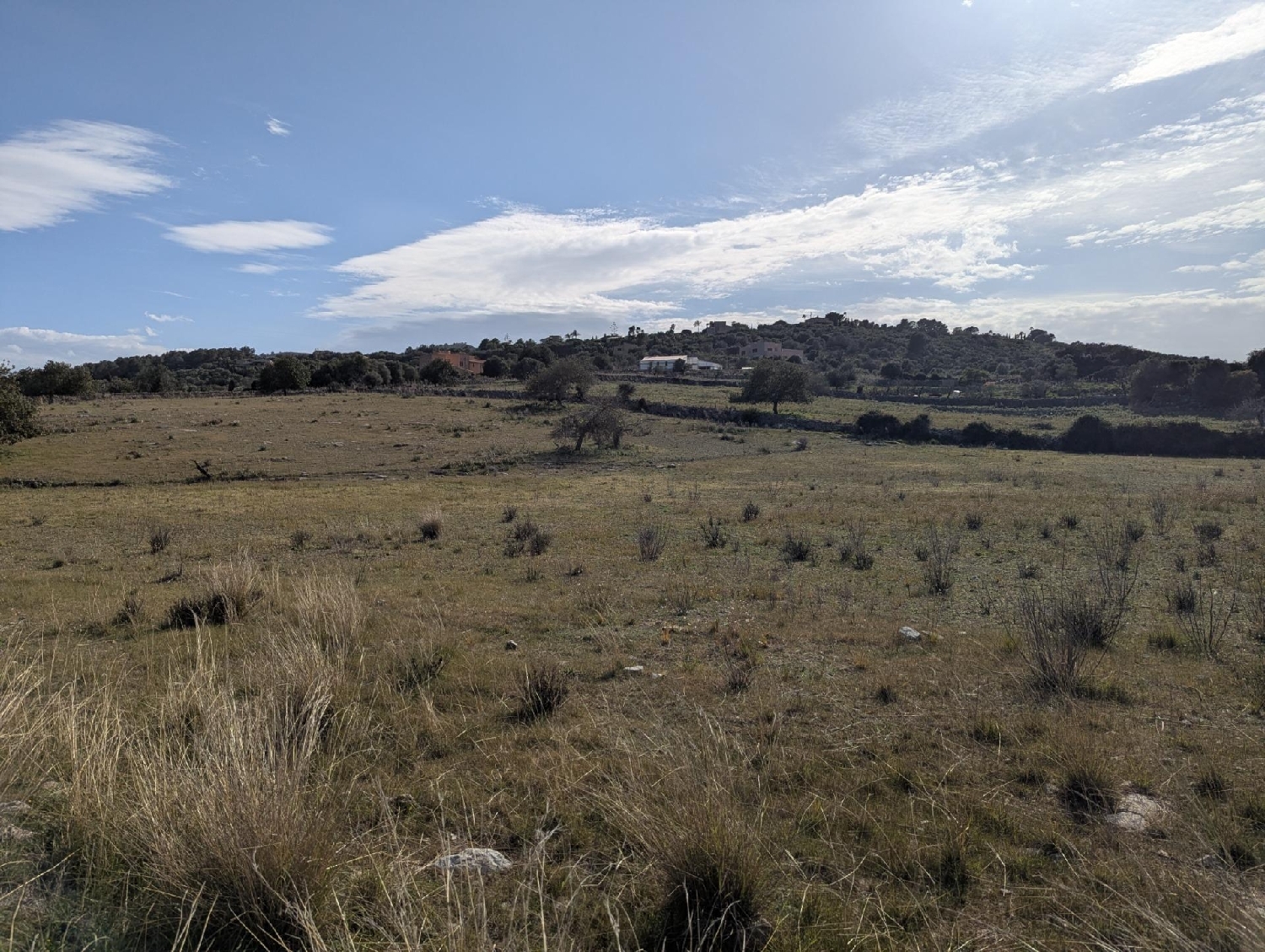  for sale plot Son Servera Llevant 8