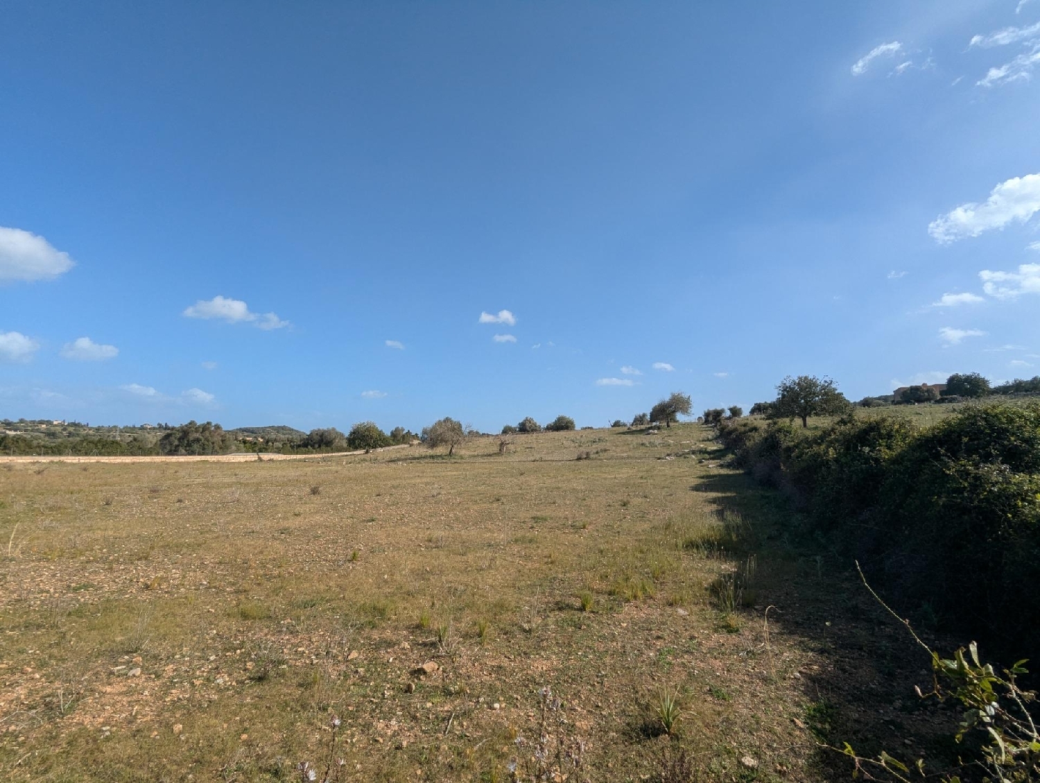  for sale plot Son Servera Llevant 4