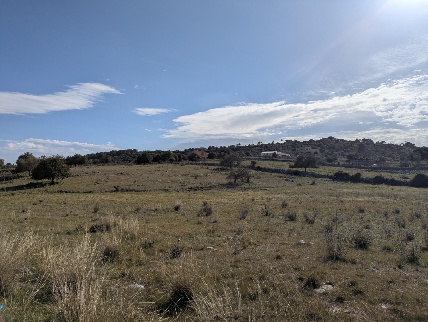  for sale plot Son Servera Llevant 5