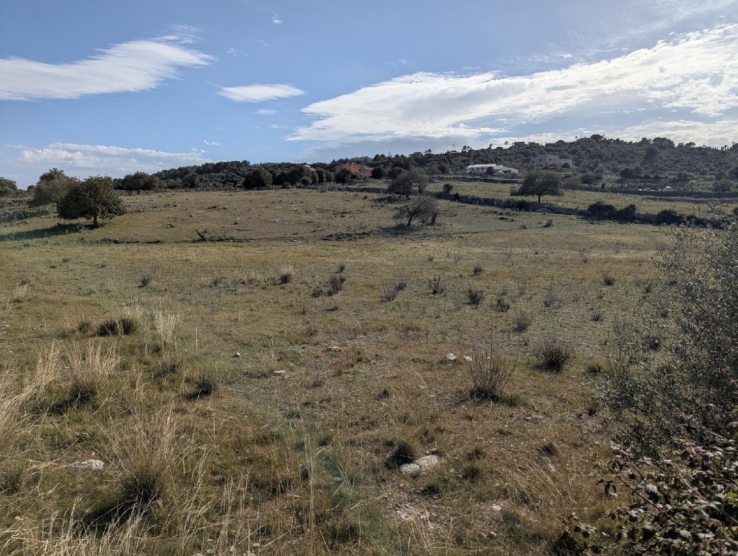  for sale plot Son Servera Llevant 6