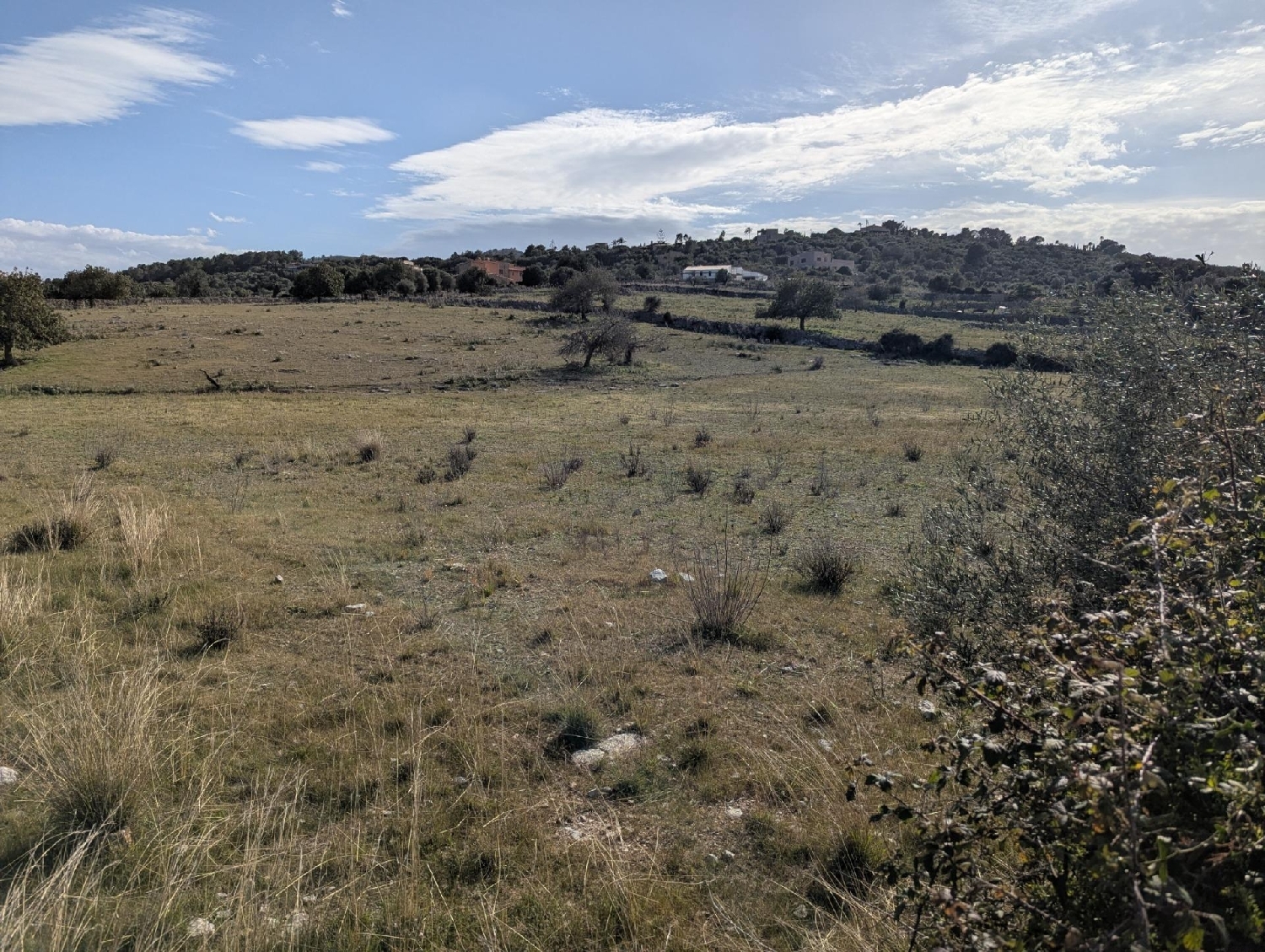  for sale plot Son Servera Llevant 7