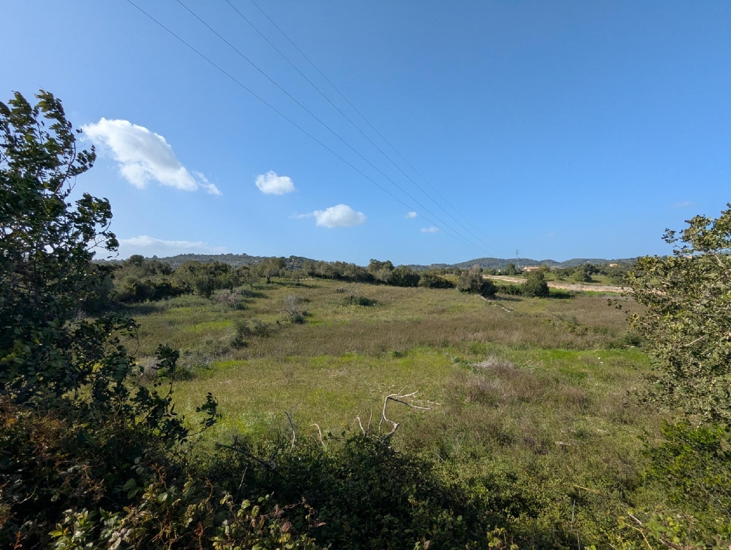  te koop perceel Son Servera Llevant 5