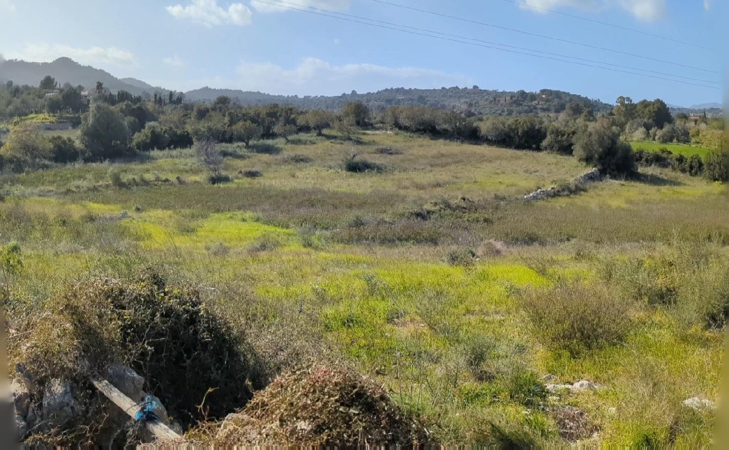  te koop perceel Son Servera Llevant 8