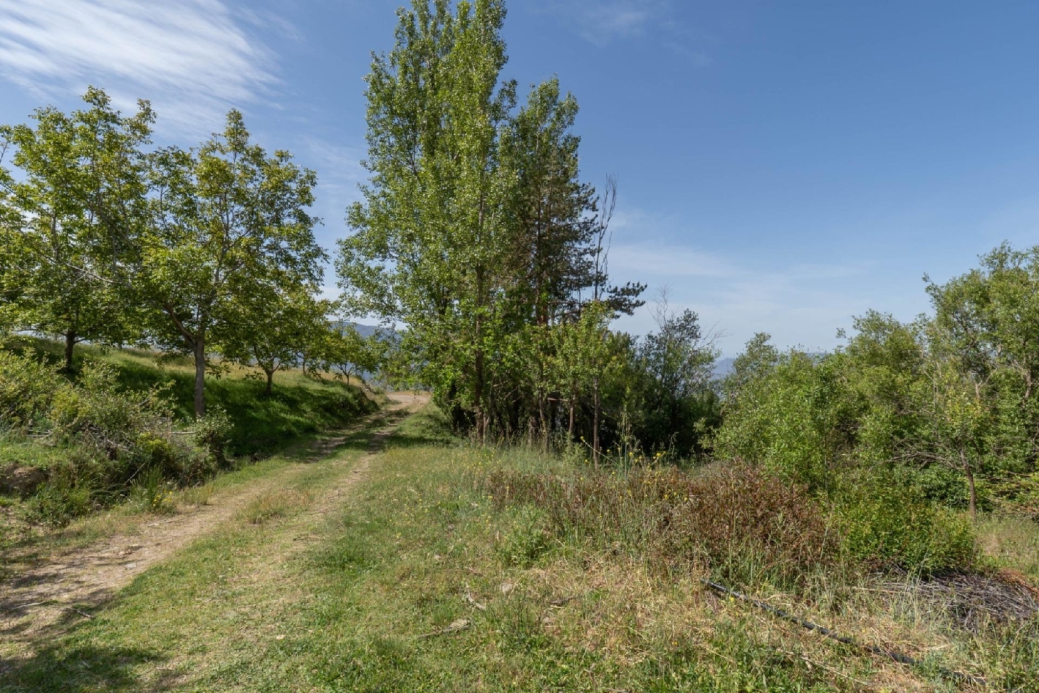  till salu tomt Soportújar Alpujarra Granadina 8