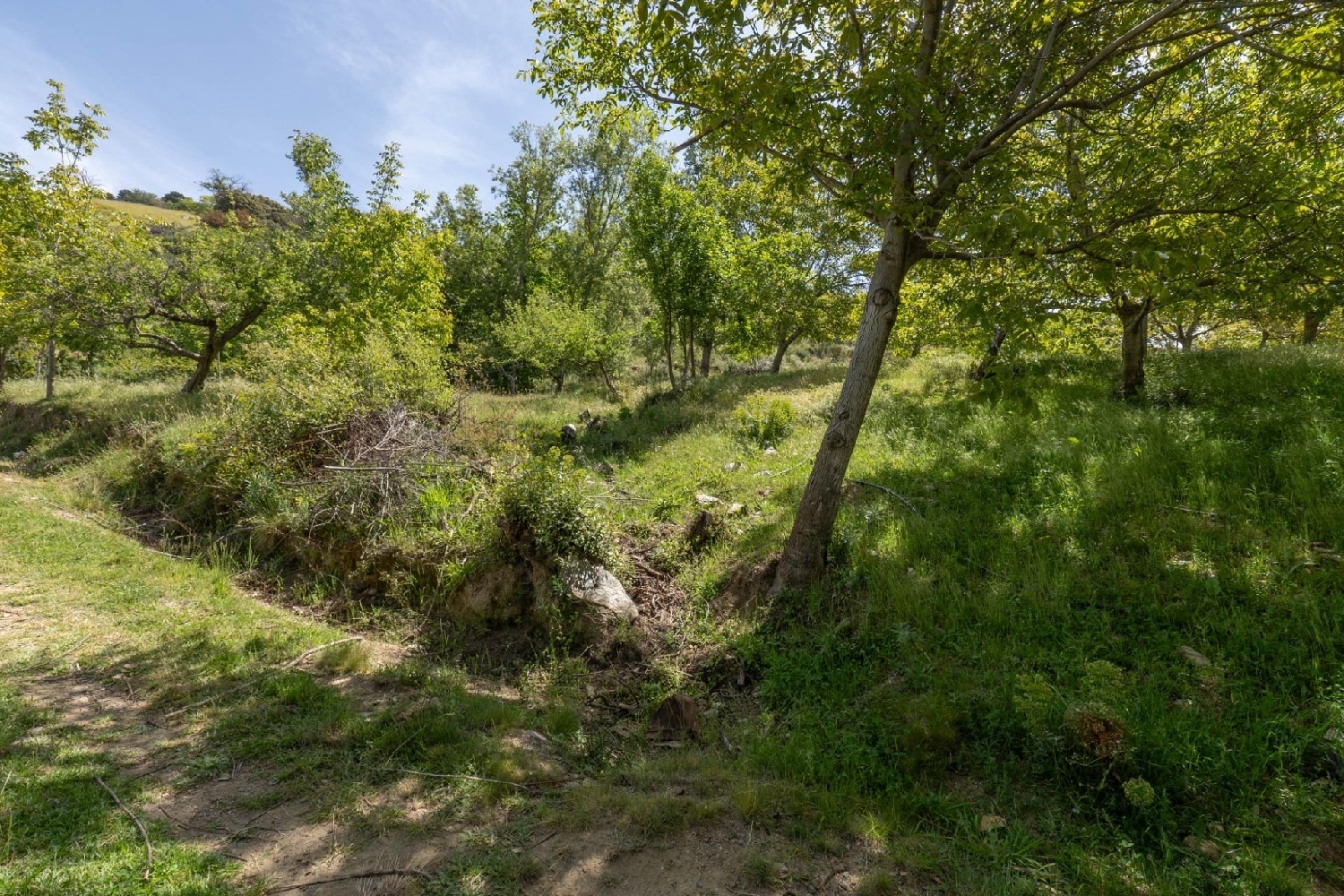  till salu tomt Soportújar Alpujarra Granadina 5