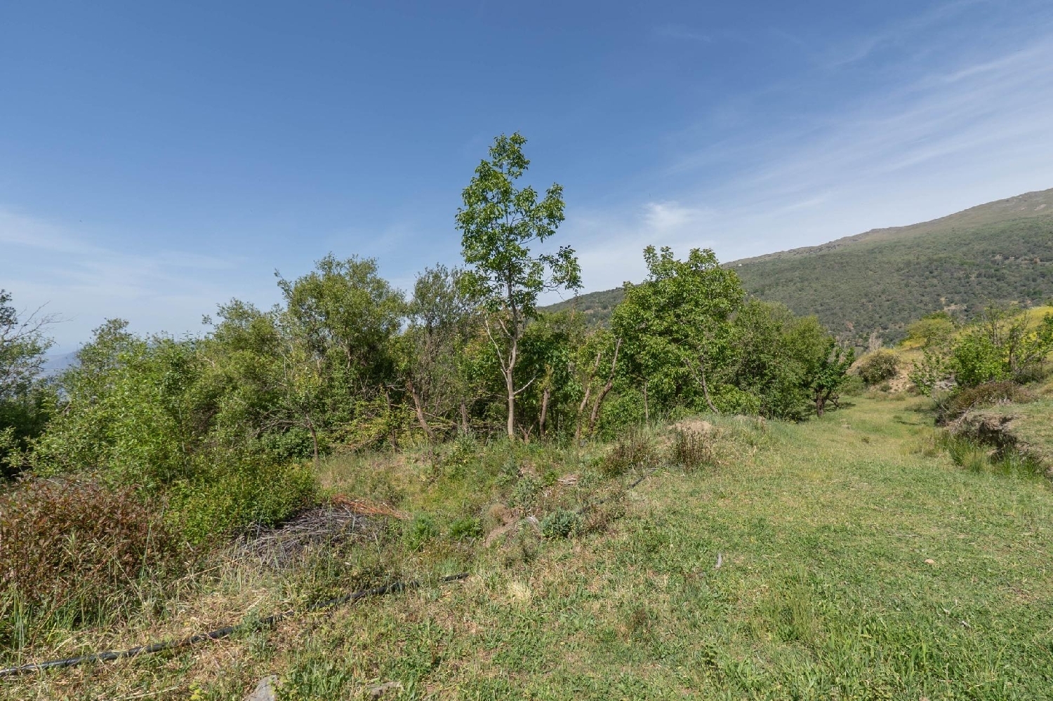  till salu tomt Soportújar Alpujarra Granadina 7