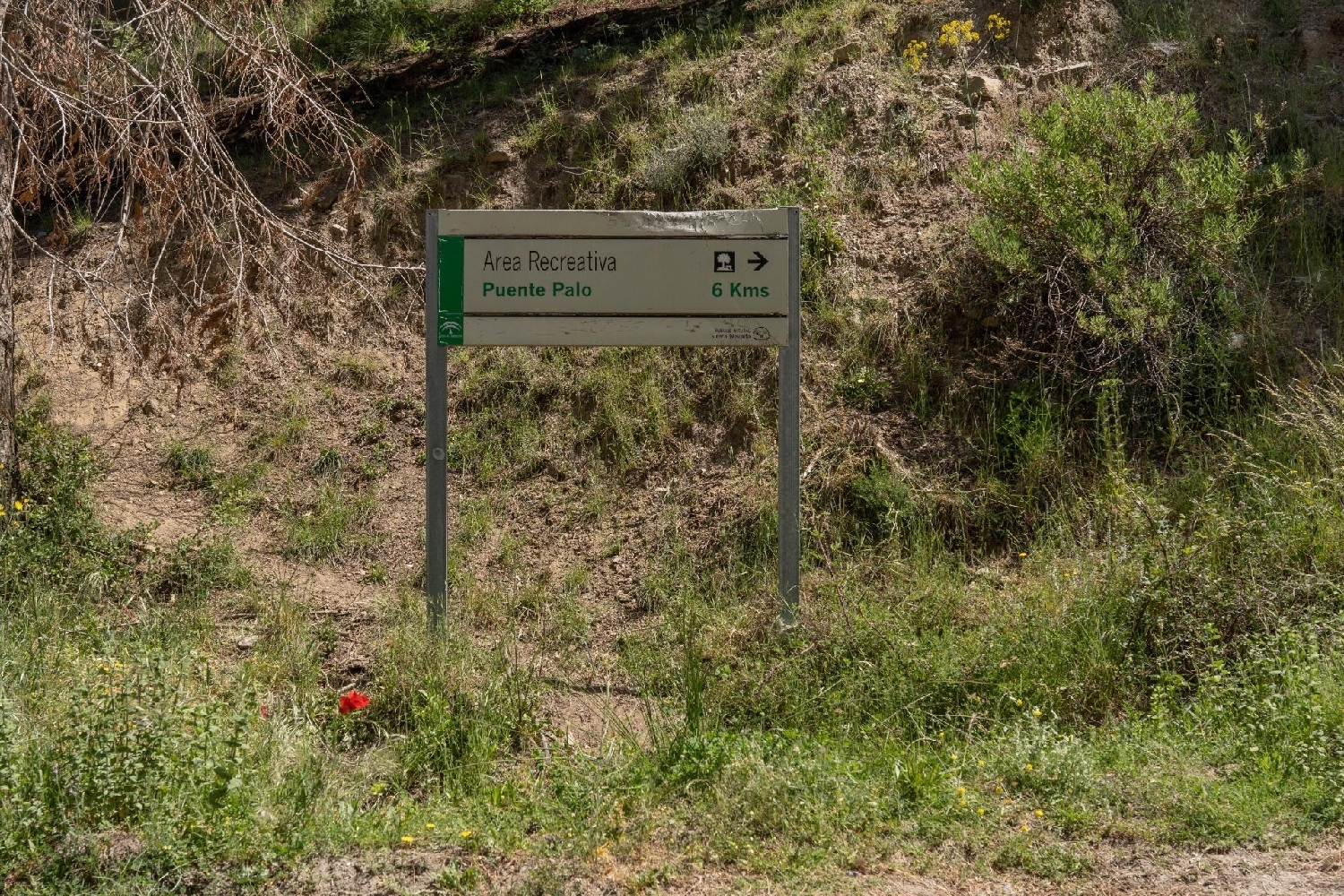  till salu tomt Soportújar Alpujarra Granadina 2