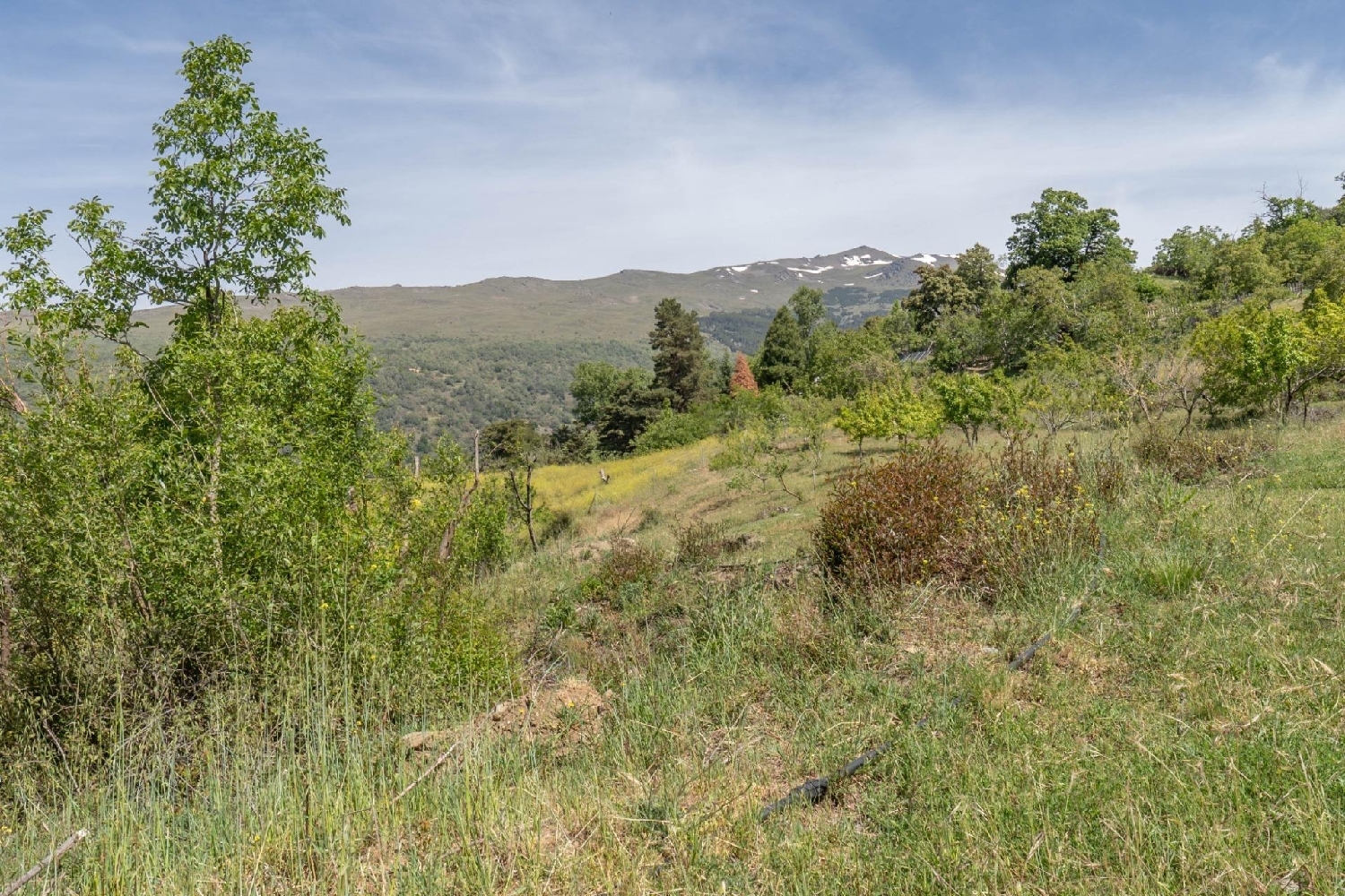  till salu tomt Soportújar Alpujarra Granadina 6