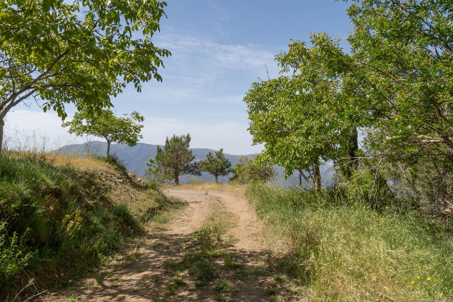  till salu tomt Soportújar Alpujarra Granadina 4