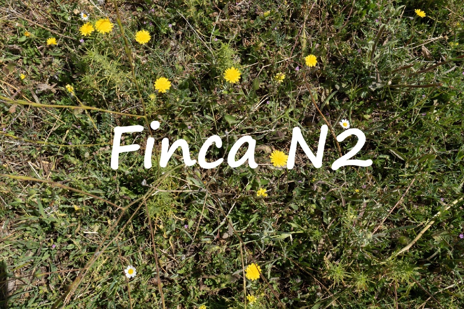  till salu tomt Soportújar Alpujarra Granadina 1