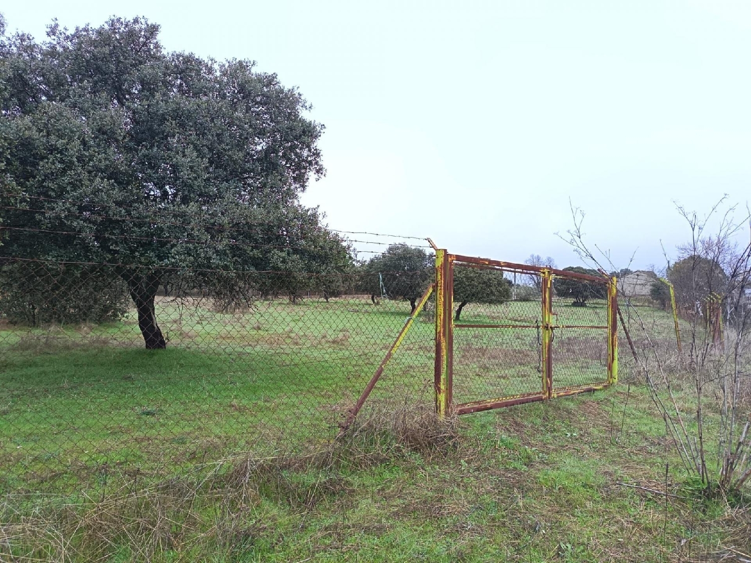  te koop perceel Talavera De La Reina Talavera 3