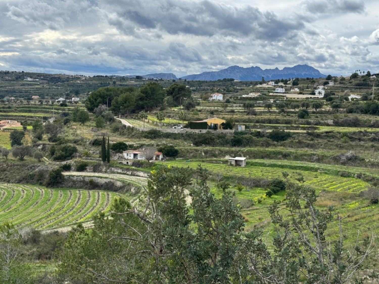  à vendre terrain Teulada Marina Alta 12