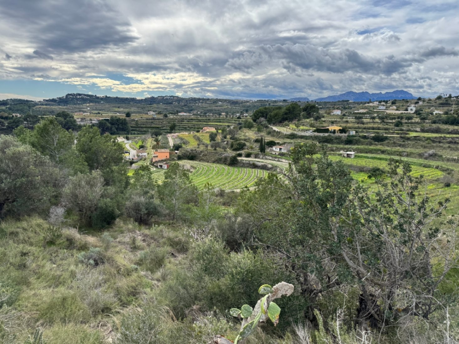  à vendre terrain Teulada Marina Alta 3