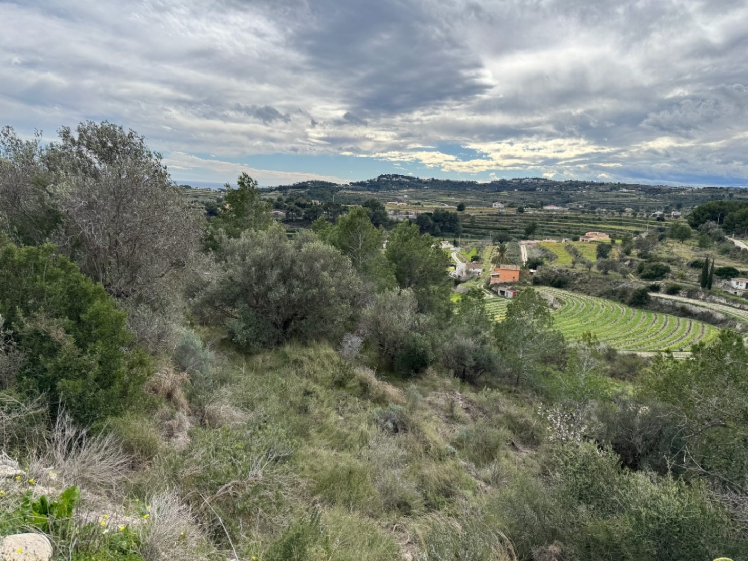  à vendre terrain Teulada Marina Alta 9