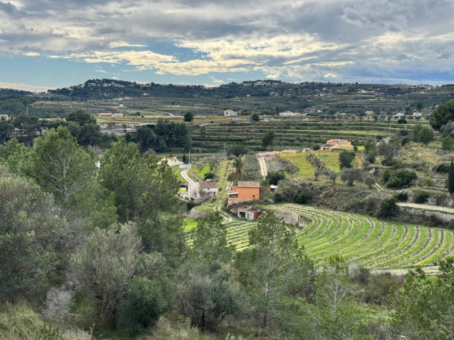  à vendre terrain Teulada Marina Alta 13