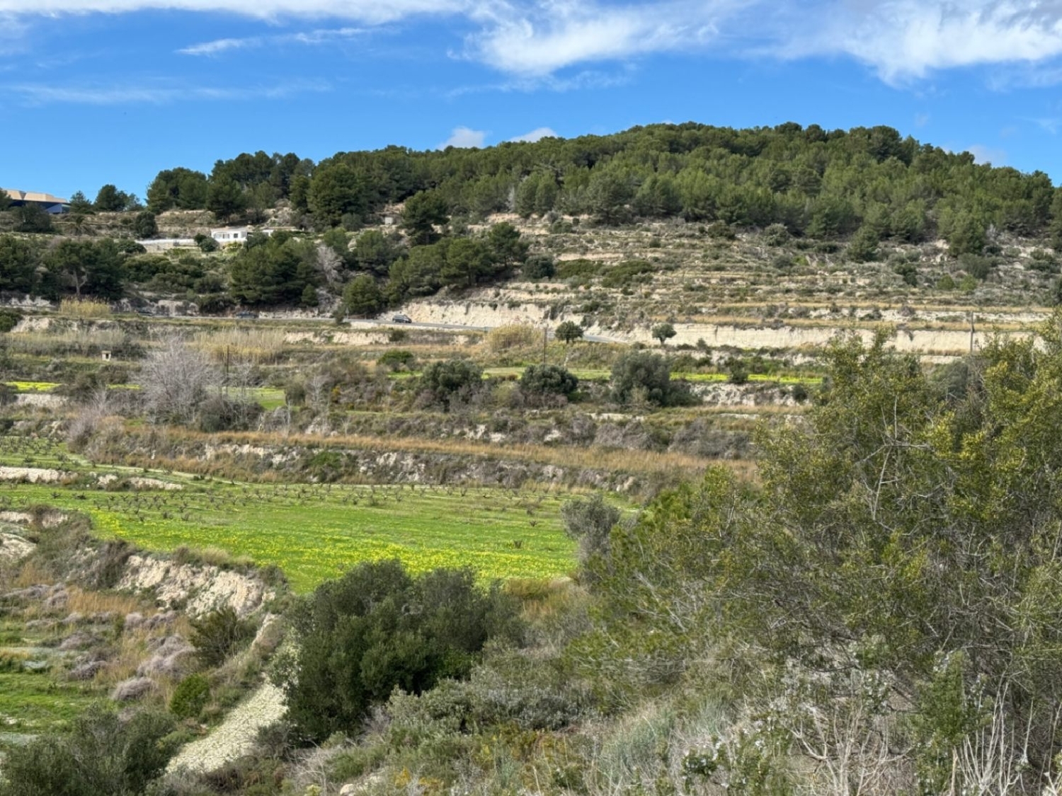  à vendre terrain Teulada Marina Alta 10