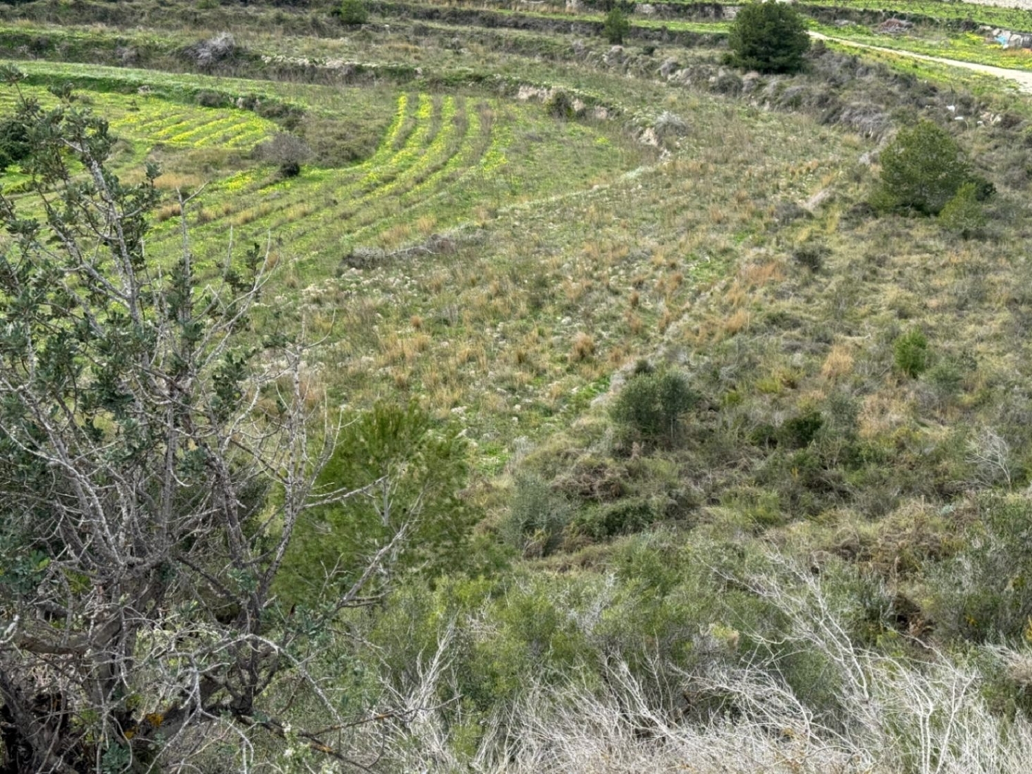  à vendre terrain Teulada Marina Alta 11