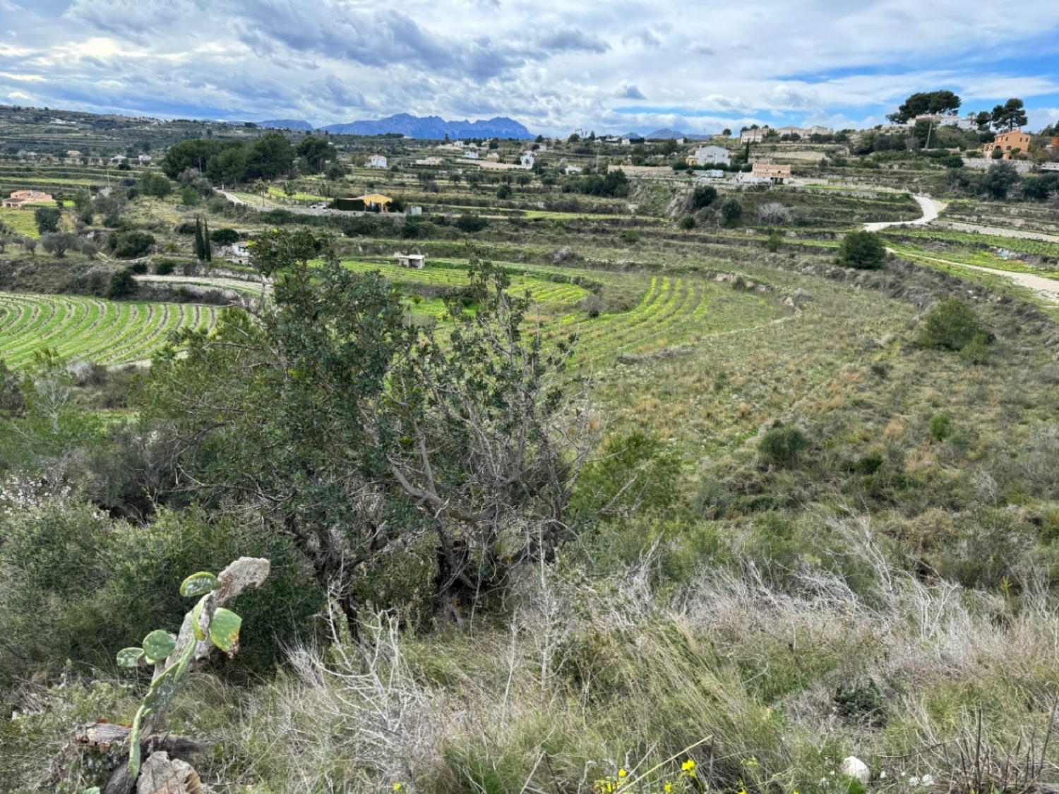  à vendre terrain Teulada Marina Alta 8