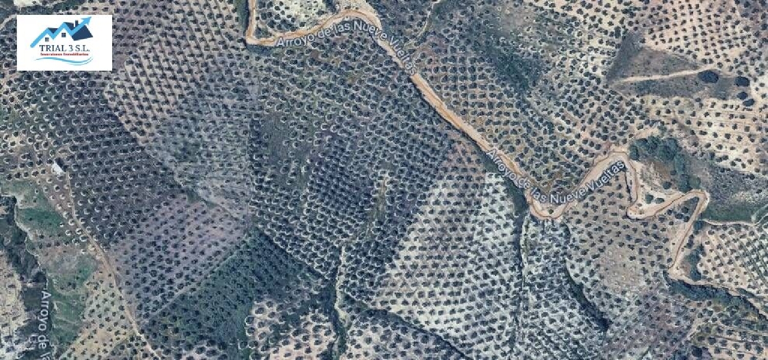  kaufen Grundstück Torredonjimeno Metropolitana De Jaén 2