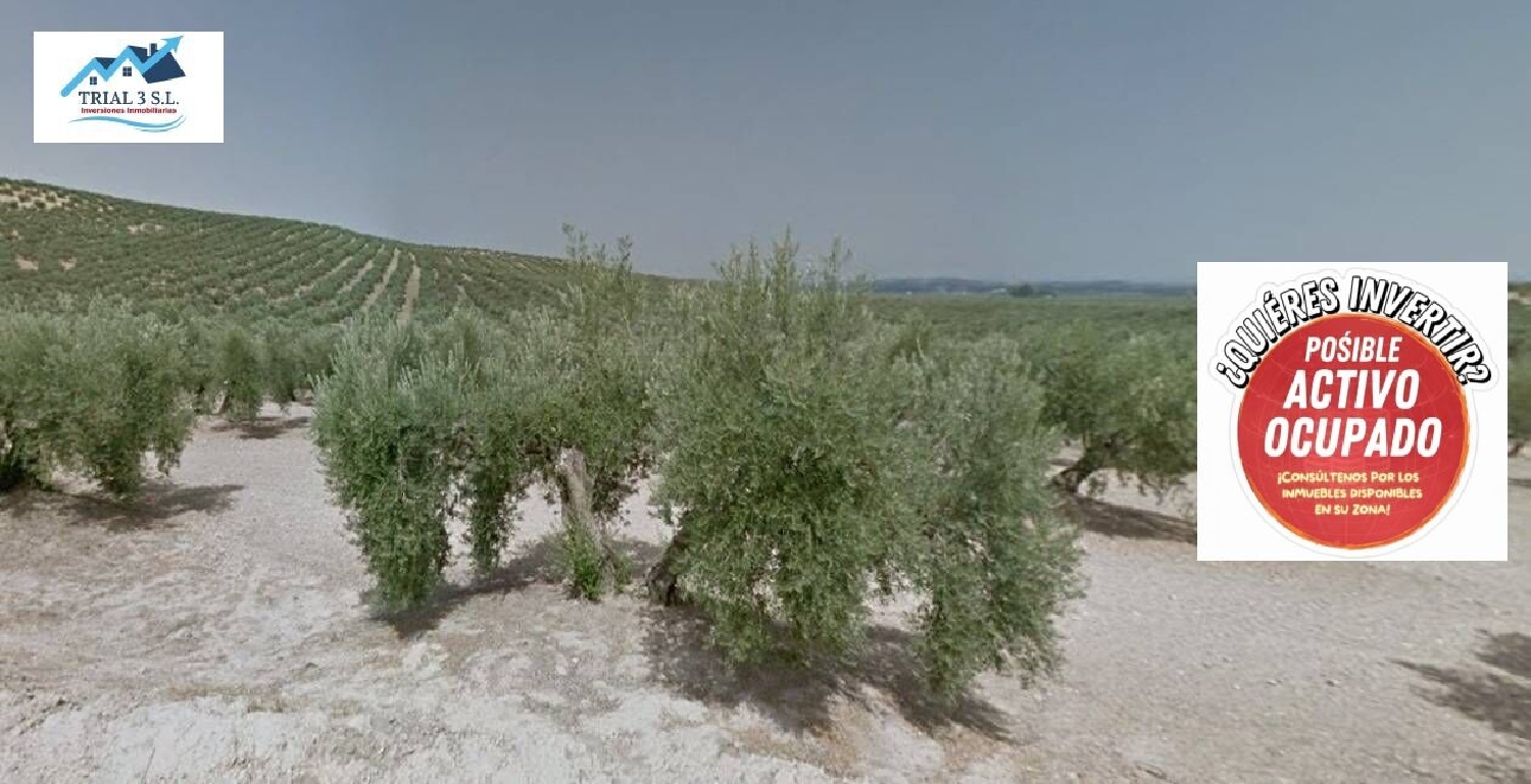  kaufen Grundstück Torredonjimeno Metropolitana De Jaén 1