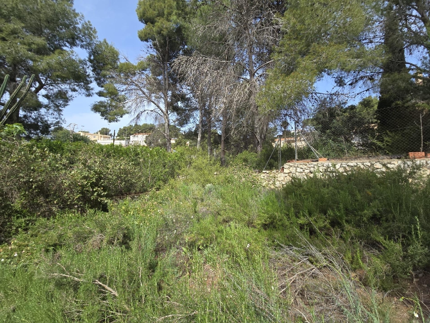  kaufen Grundstück Torrent Horta Oest 8