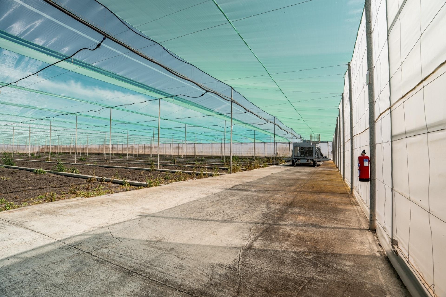 te koop perceel Utrera Bajo Guadalquivir 8