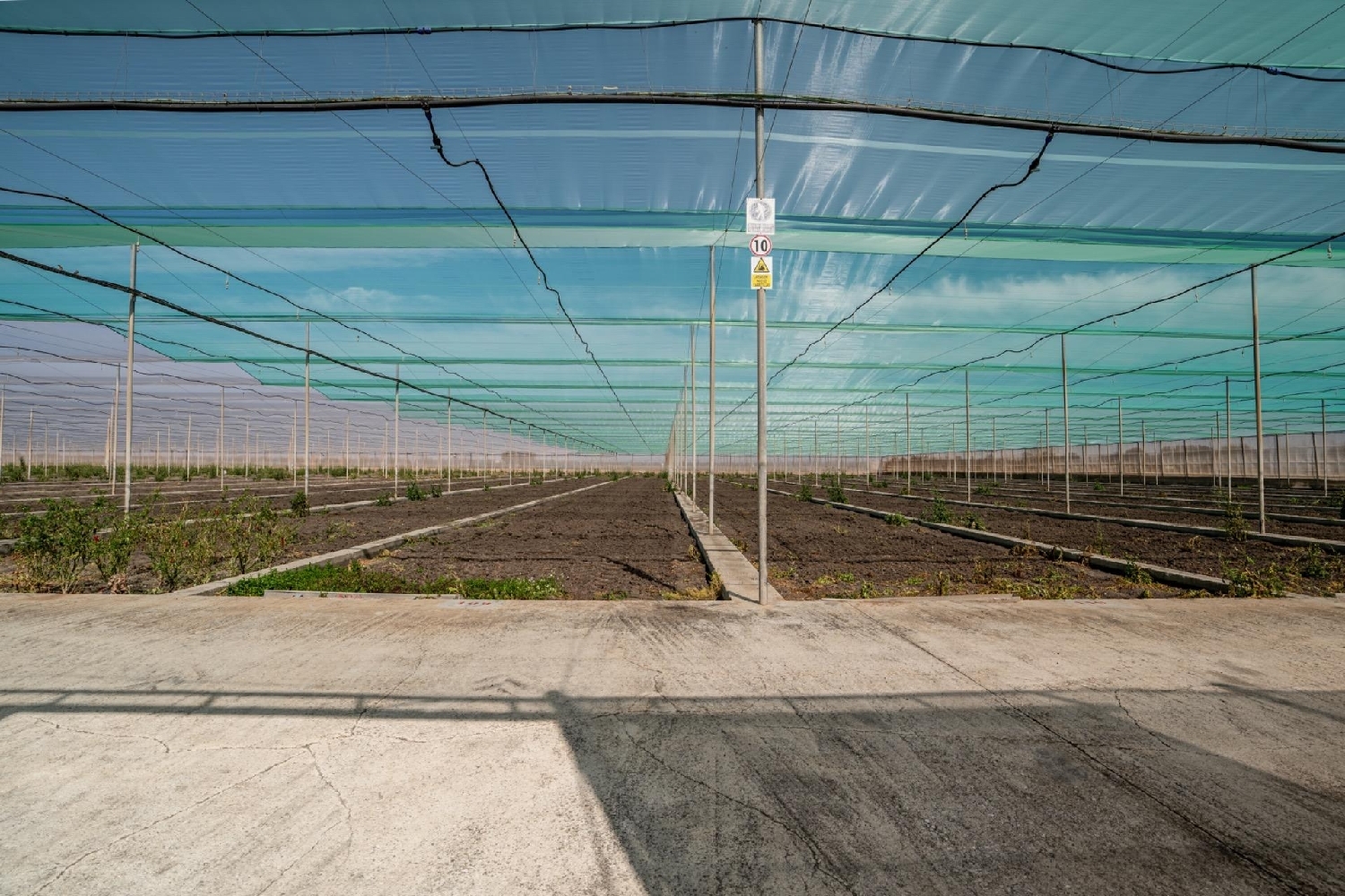 te koop perceel Utrera Bajo Guadalquivir 7