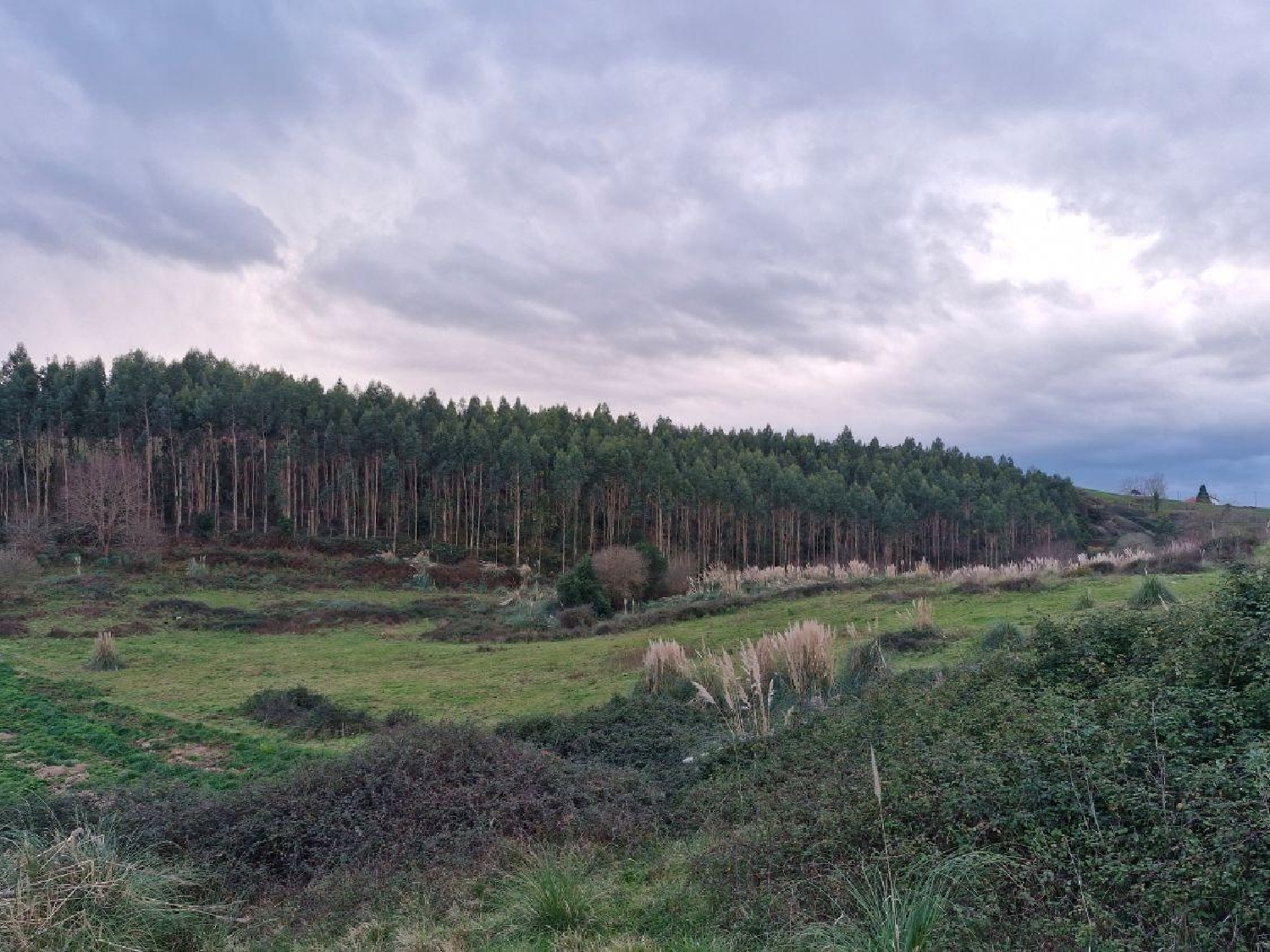  te koop perceel Valdepielagos Cuenca Del Medio Jarama 1