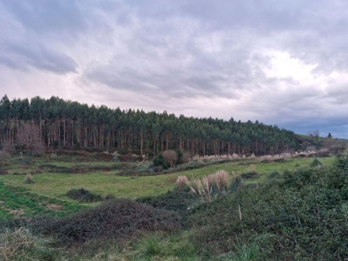 Valdepielagos Cuenca Del Medio Jarama perceel foto 6376070