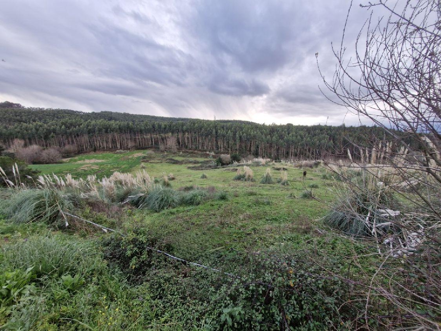  te koop perceel Valdepielagos Cuenca Del Medio Jarama 4