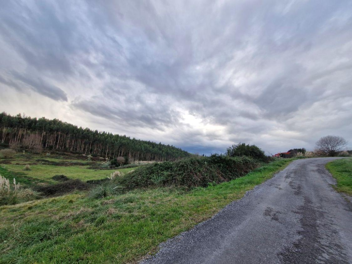  te koop perceel Valdepielagos Cuenca Del Medio Jarama 5