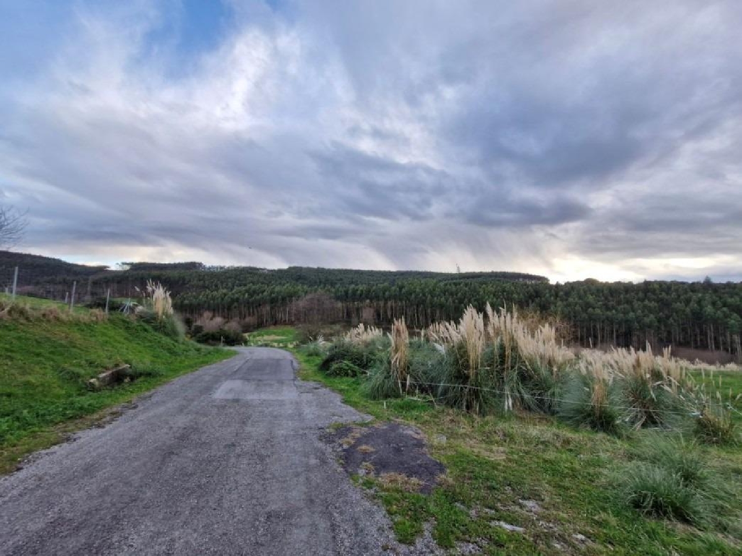  te koop perceel Valdepielagos Cuenca Del Medio Jarama 2