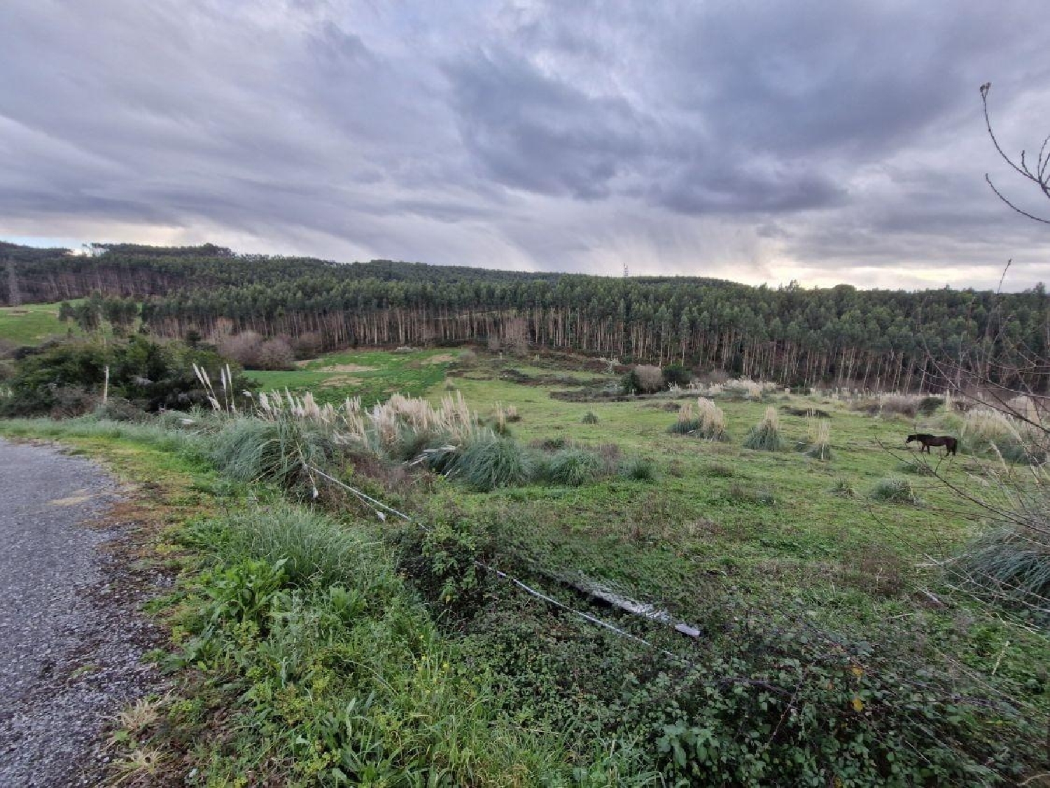  te koop perceel Valdepielagos Cuenca Del Medio Jarama 3