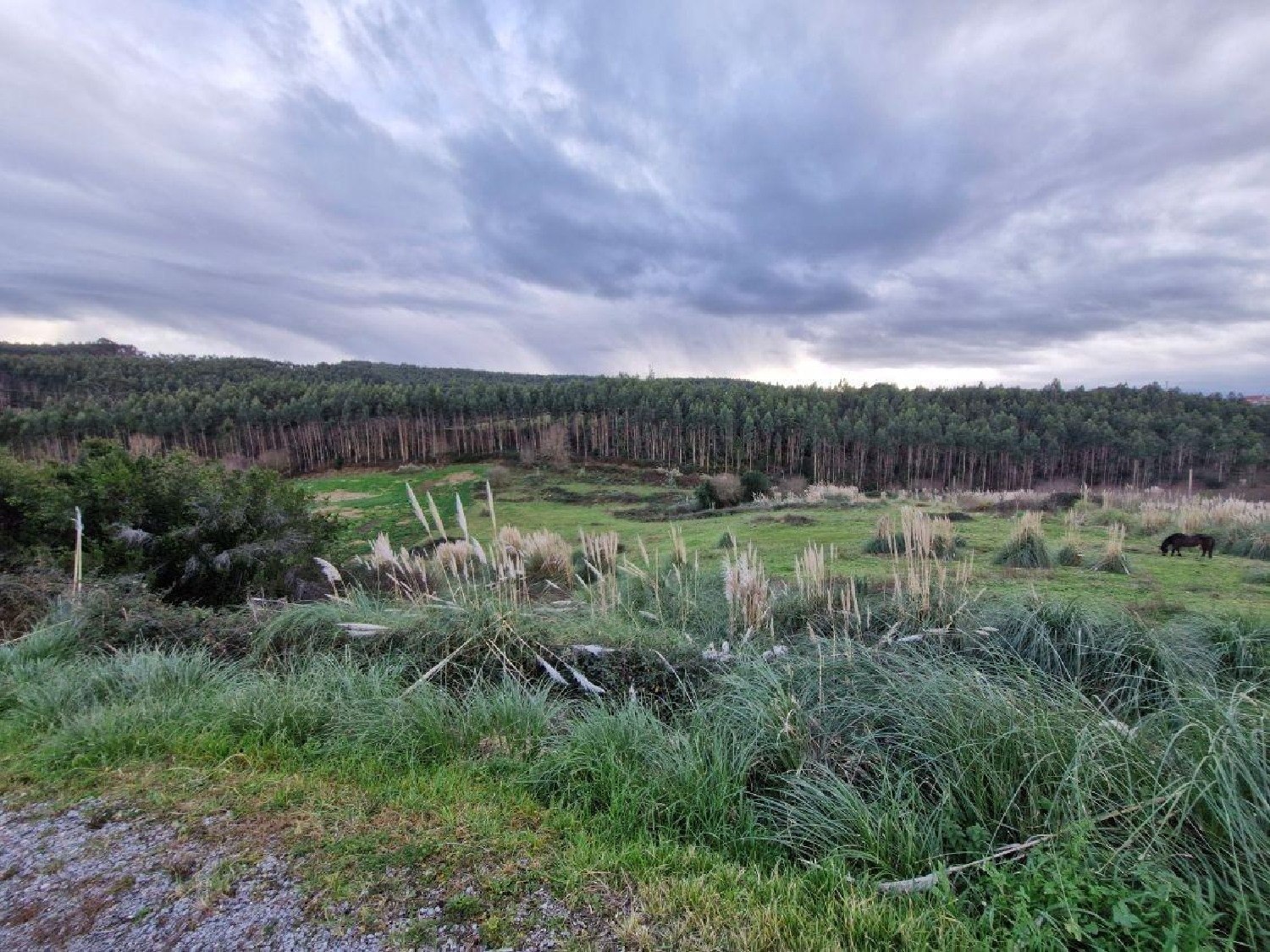  te koop perceel Valdepielagos Cuenca Del Medio Jarama 6