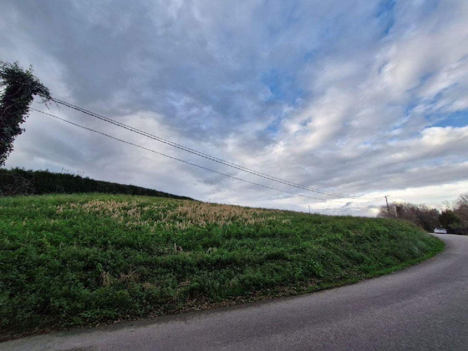  te koop perceel Valdepielagos Cuenca Del Medio Jarama 3