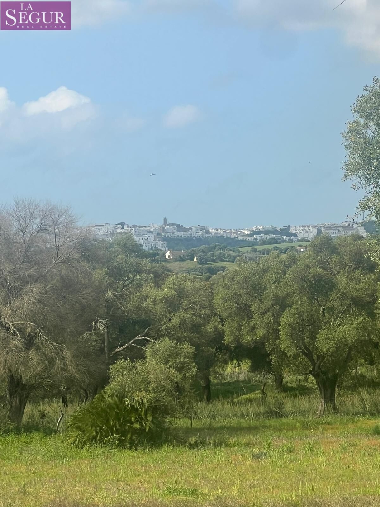  kaufen Grundstück Vejer De La Frontera Janda (La) 2
