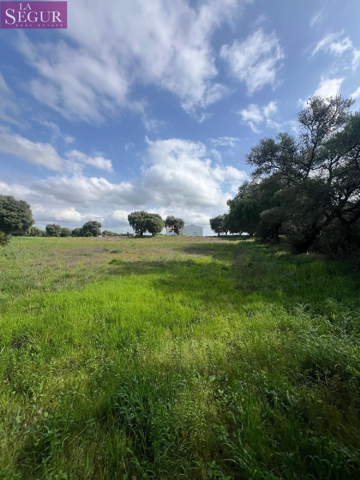  kaufen Grundstück Vejer De La Frontera Janda (La) 5