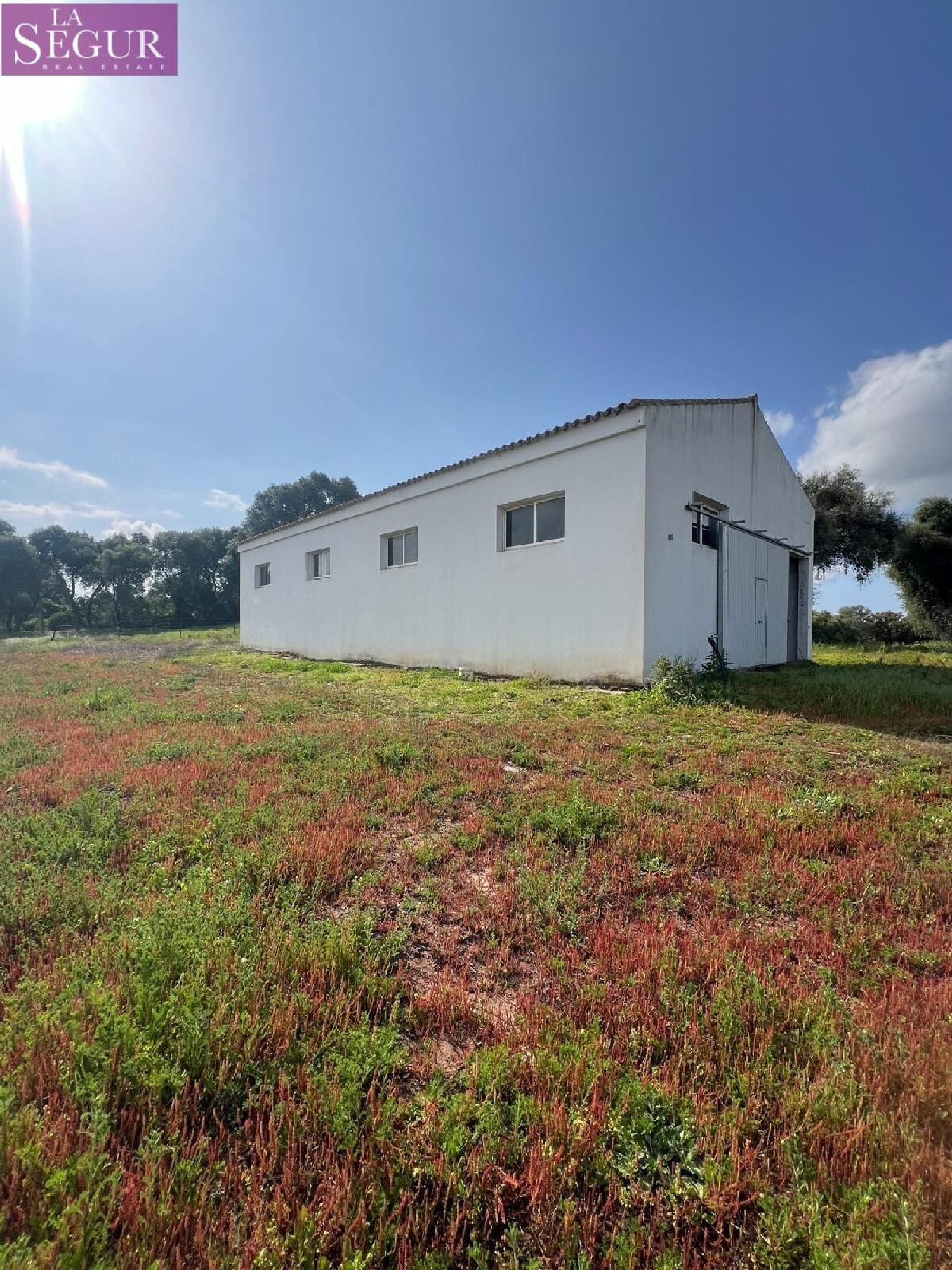  kaufen Grundstück Vejer De La Frontera Janda (La) 7