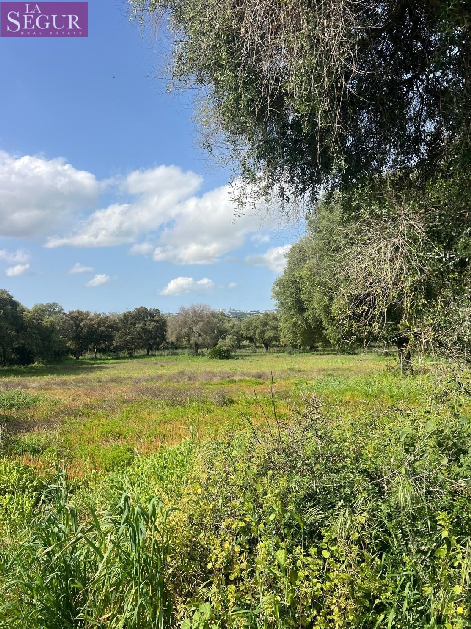  kaufen Grundstück Vejer De La Frontera Janda (La) 4