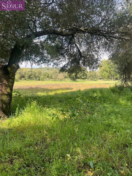 Vejer De La Frontera Janda (La) Grundstück Bild 6374229