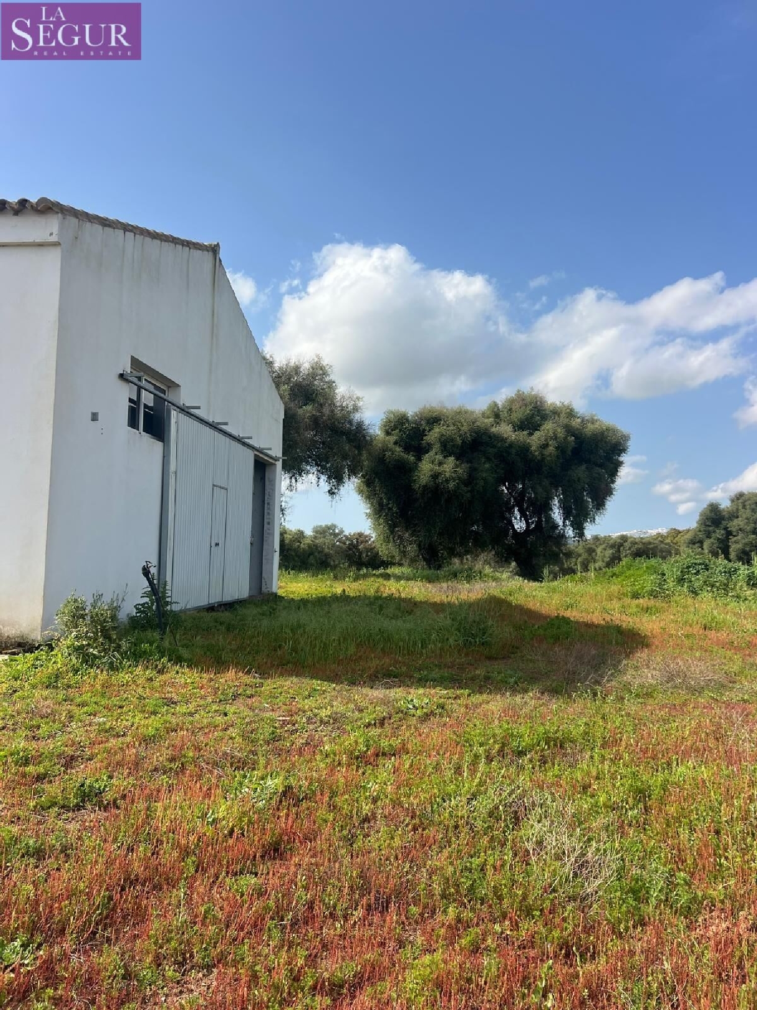  kaufen Grundstück Vejer De La Frontera Janda (La) 8
