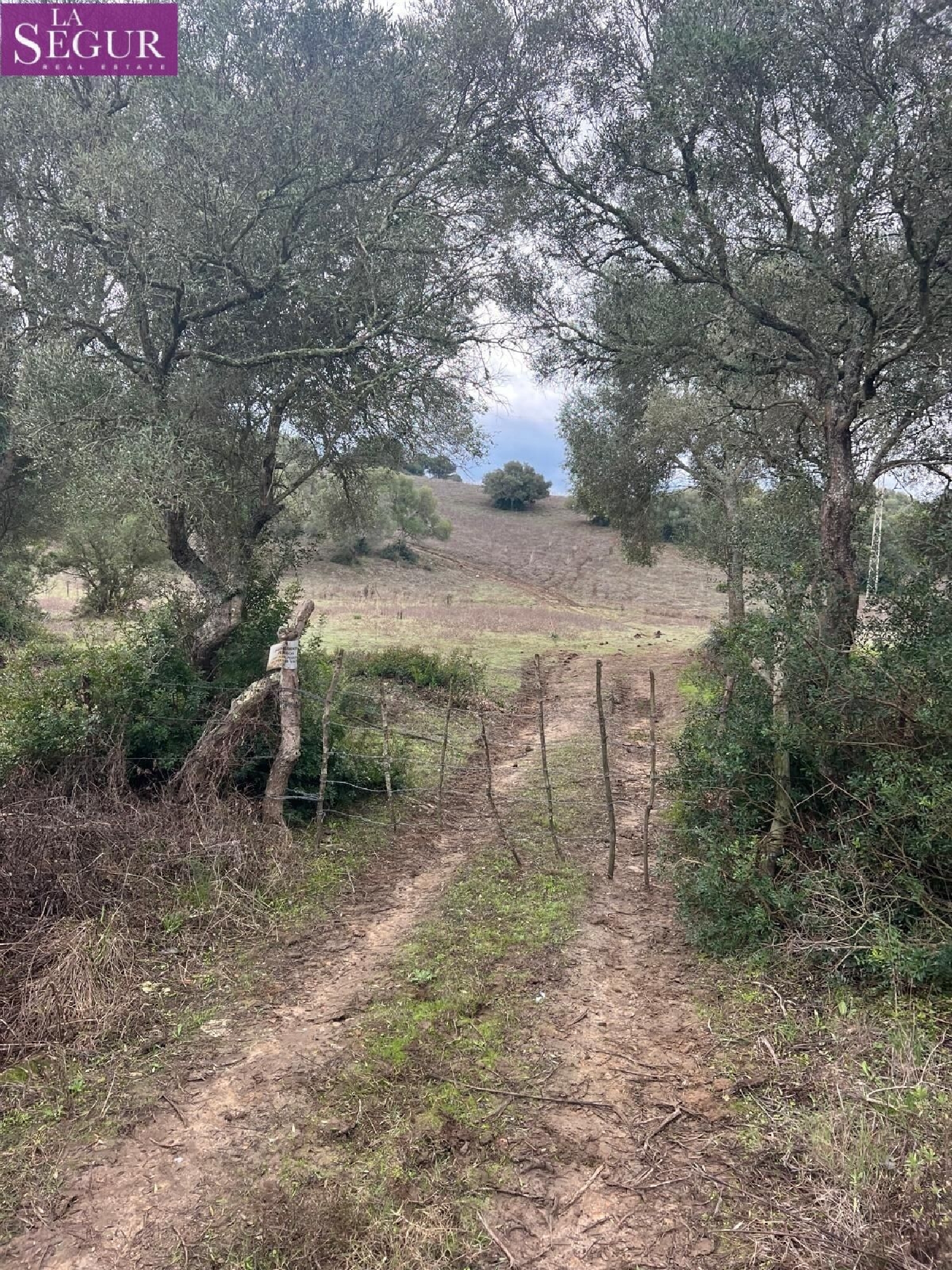  en venta terreno Vejer De La Frontera Janda (La) 7